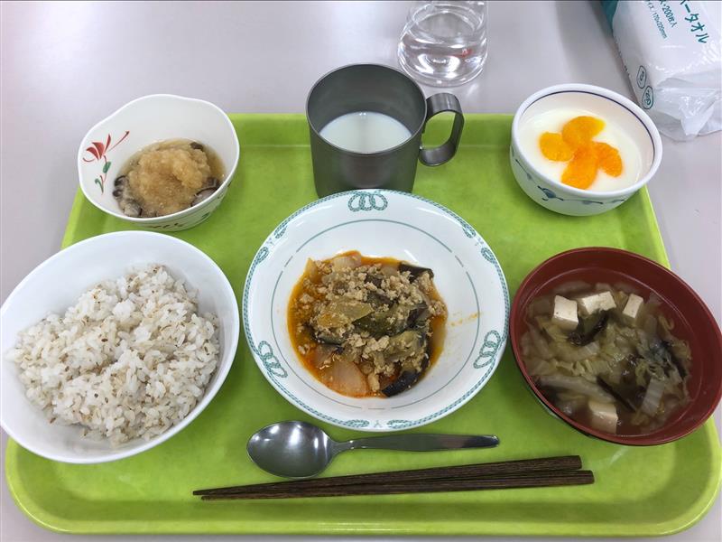 6月1日 (1)